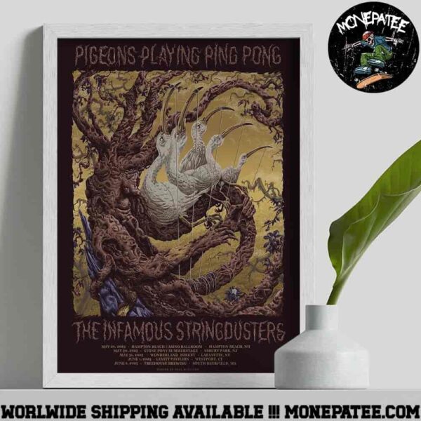 Pigeons Playing Ping Pong The Infamous Stringdusters Tour Dates 2025 Decorative Poster Canvas